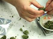 marihuana sintética: ¿Proviene hierbas, inofensiva?