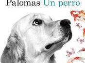 perro. Alejandro Palomas.