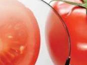 Nuestros alimentos deben inocuos nutritivos.