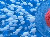 ¿Cuánto tiempo tarda quedar embarazada?