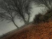 Venerdí Photosatriani