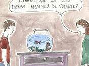 memoria