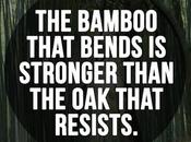 bamboo