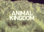 Reino animal