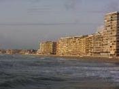 Novedades sabor verano