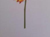 Elena Román: Ciudad girándose (2):