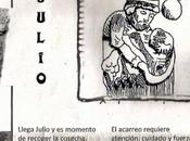 Julio coplillas ciego Sierra Norte