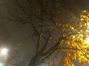 Venerdí Photosatriani