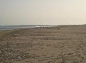 cierra vacaciones 2016