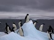 agujero capa ozono sobre Antártida puede esté cerrando mismo