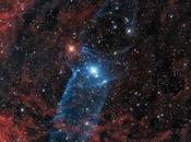 Nebulosa Calamar gigante