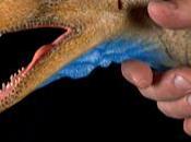 Eodromaeus