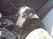 ahora hacemos? Galga (Granada)