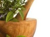 Cúrate hierbas: árbol