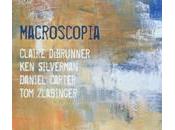 Claire deBrunner, Daniel Carter, Silverman, Zlabinger: Macroscopia (Métier Jazz, 2010)