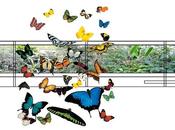 "Are really sure that floor ceilling?"