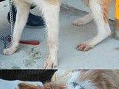 Bruno.... palabras sólo dolor impotencia