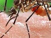 2015 podría desaparecer mortalidad malaria