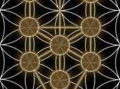 flor vida
