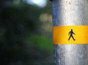 Caminando vida