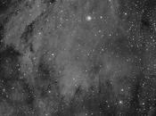 Nebulosa pelícano 5067 5070)