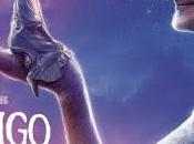 amigo Gigante, materia hacen sueños