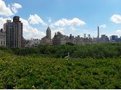 paseo central park