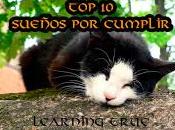 Sueños cumplir (#top10 #topten)