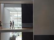 arquitectura moma