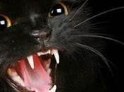 Gatos Negros, ¿mascotas diablo?