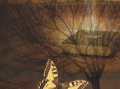 Coaching “Wingwave”: ¿Hasta dónde llega “coaching breve”?