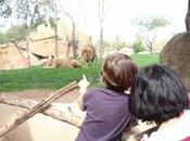 Bioparc Valencia