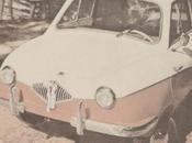 carrera Bambi