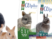 Alpha Adult Rabbit, dieta baja calorías, cereales azúcares alta fibras para salud óptima