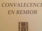 José Carlos Díaz: Convalecencia remior