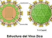 Primer caso zika españa