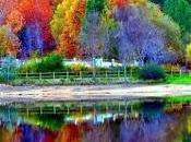 Entre risas lamentos...