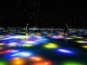 estanque interactivo peces generados computadora