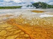 puedo recordar viaje cámara colgada hombro”, blogueros viajes cuentan porqué imposible viajar hacer fotos