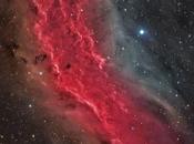 Nebulosa California