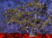 Venerdí Photosatriani