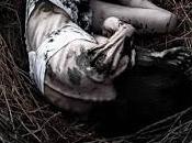 Después tantas penas. novela Medrano