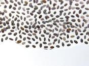 Postre melocotón Chia