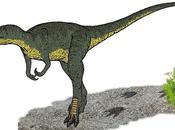 Nanotyrannus, dinosaurio pudo existir