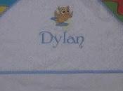Para dylan