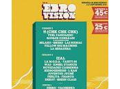 Ebrovisión 2016, horarios