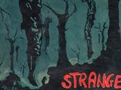 CANCIONES CONTRA SILENCIO. Strange fruit.