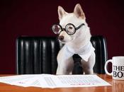 Trata jefe como fuera perro.