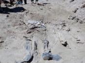 Irak ejecuta yihadistas culpables masacre Camp Speicher