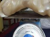 Encuentran perla grande mundo